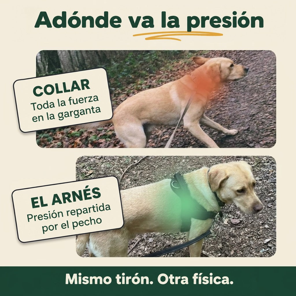 Arnés antitirones para perro hale & hound