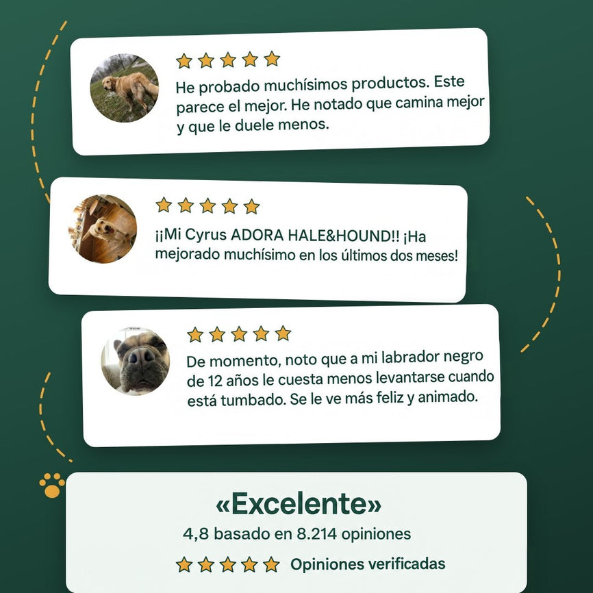 Tres opiniones de cinco estrellas junto a un resumen con la valoración Excelente: 4,8 sobre 8.214 opiniones.