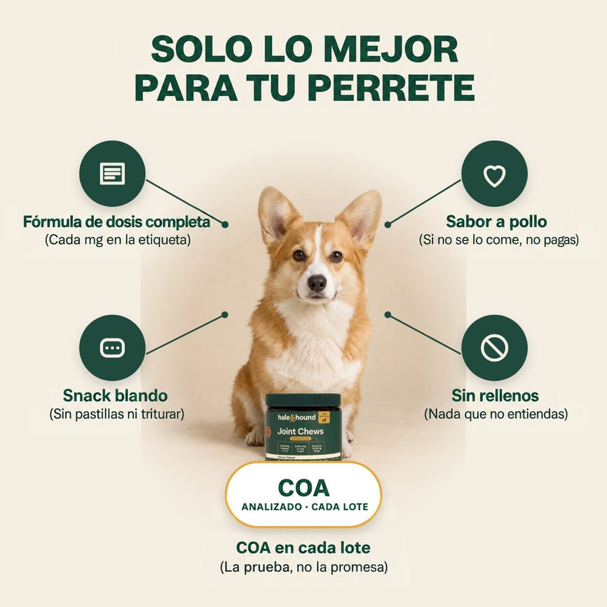 Solo lo mejor para tu perro: fórmula con dosis completa, sabor a pollo, snack blando, sin rellenos, certificado de análisis (COA) con cada lote.